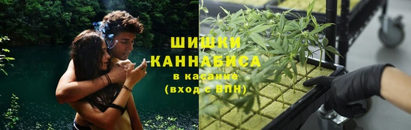 трава Алзамай