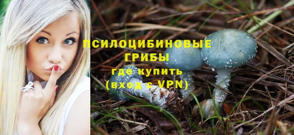 трава Алзамай