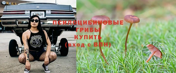 трава Алзамай