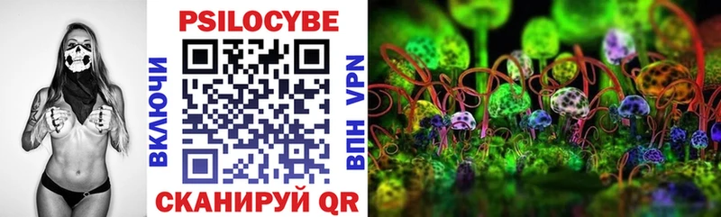 Галлюциногенные грибы Psilocybine cubensis Мензелинск