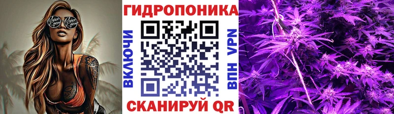 Марихуана ГИДРОПОН Мензелинск